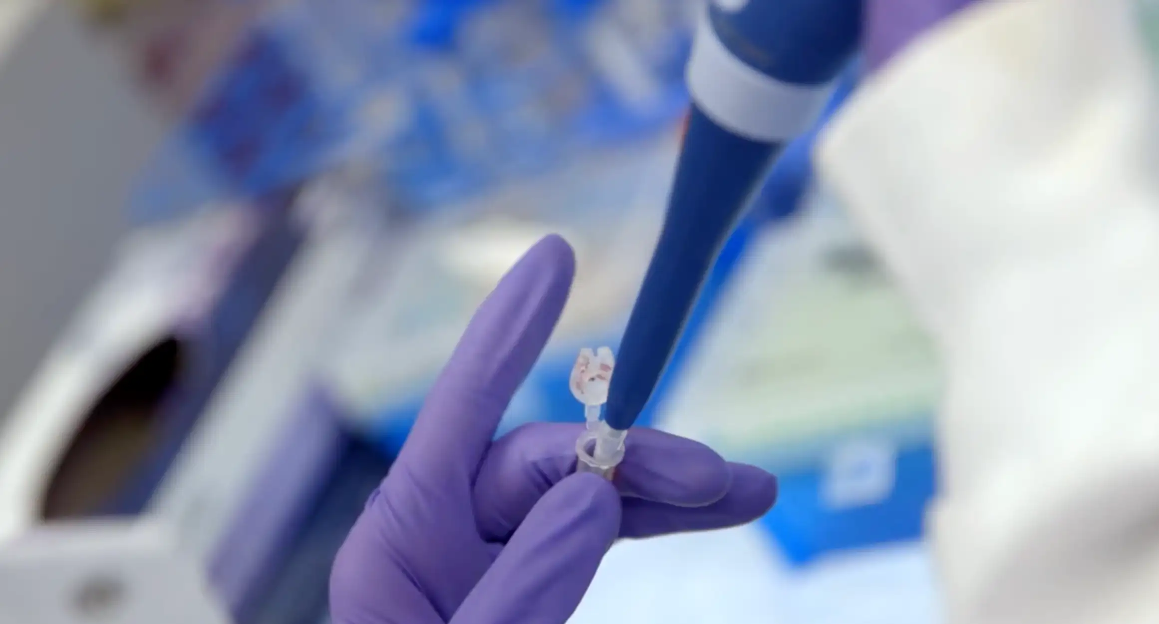 A gloved hand steadying a microcentrifuge tube while a pipette dispenses into it